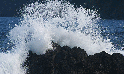 Papakū Makawalu